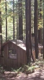 A cabin at Mendocino Woodlands
